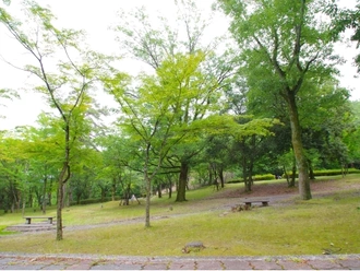 宝ヶ池公園