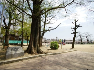 万代池公園