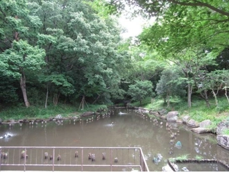 むじなが池公園