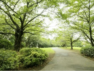 夏の雲公園