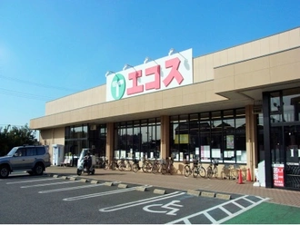 エコス市川島尻店