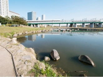 多摩川二子橋公園