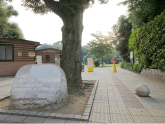 白金台どんぐり児童公園