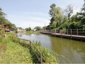 白幡池公園