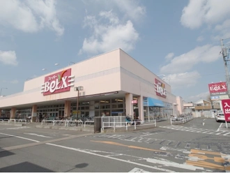 ベルクス南柏店