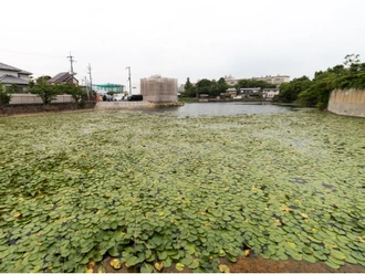 青池公園