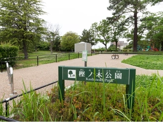 樫ノ木公園