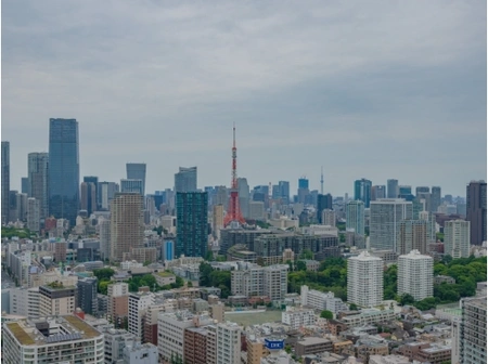 ダミー
