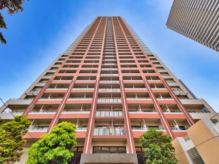 エゴスキュー　タワー エゴスキュー タワー