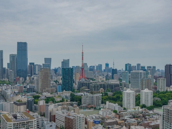 ダミー