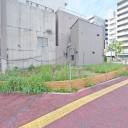 江東区亀戸6丁目 売地
