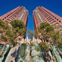 THE TOWERS DAIBA...