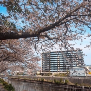 プラウド湘南藤沢ガーデン