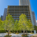 HARUMI FLAG PARK VILLAGE 晴海フラッグD