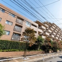 アデニウム武蔵小山