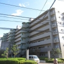 綱島ハイム