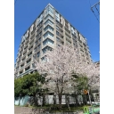 三番町パークテラス桜苑