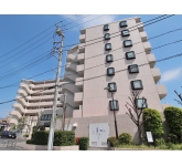東急ドエルアルス平和橋