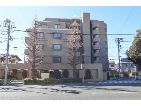 藤和シティコープ杉並善福寺