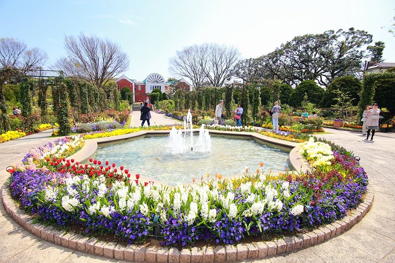 さまざまな花が咲き誇る港の見える丘公園