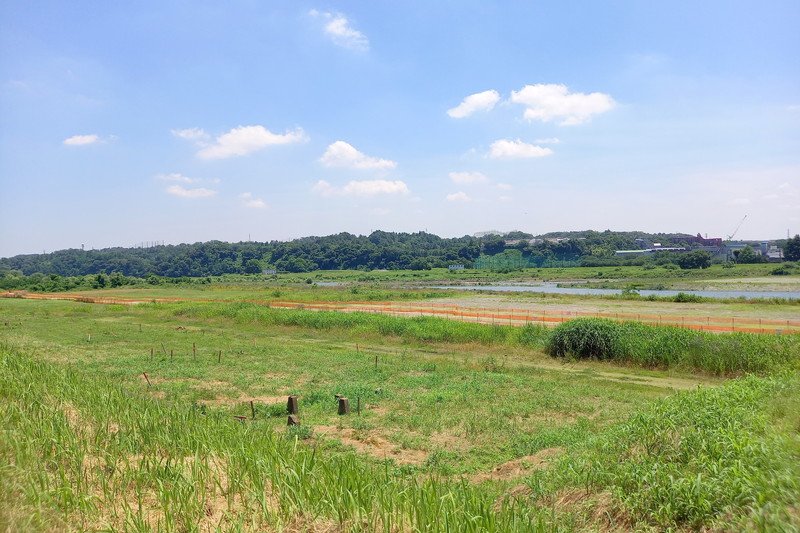 多摩川の広大な広い河川敷