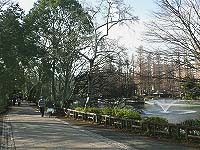 井の頭公園の写真