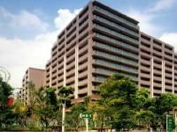 南砂町のマンション「エムステージ」の写真