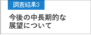 調査結果3 今後の中長期的な展望について