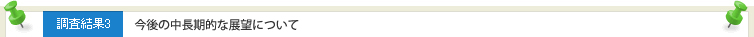 調査結果3 今後の中長期的な展望について