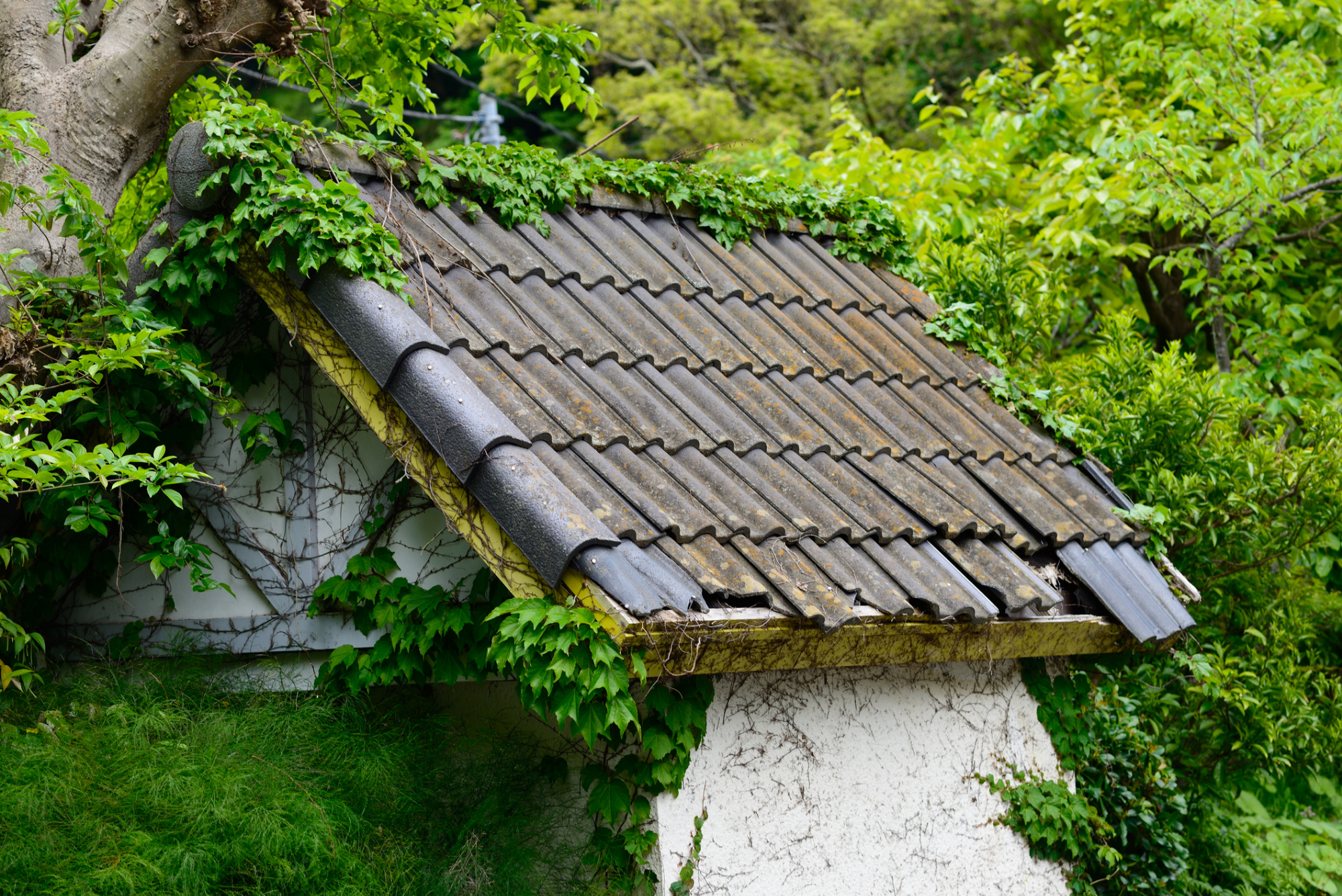 空き家問題への政府・自治体の対策